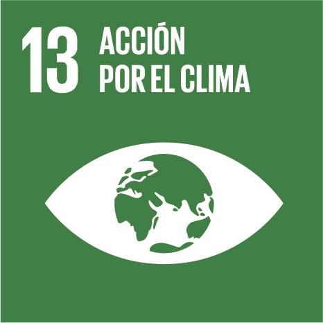 Objetivo 13: Acción por el clima
