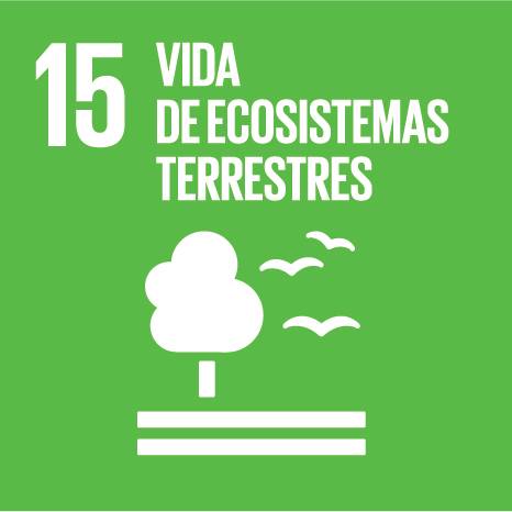 Objetivo 15: Vida de ecosistemas terrestres